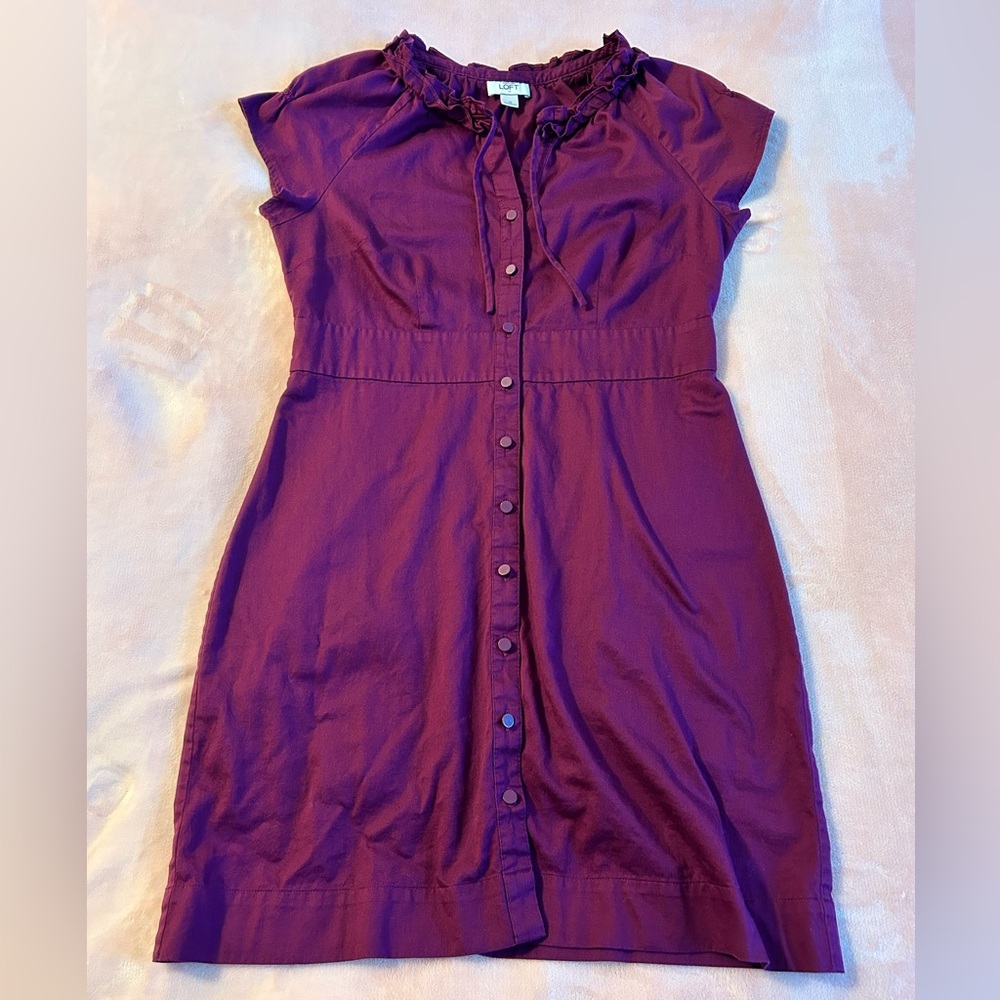 Ann Taylor Loft purple/plum button up cotton dress size 12